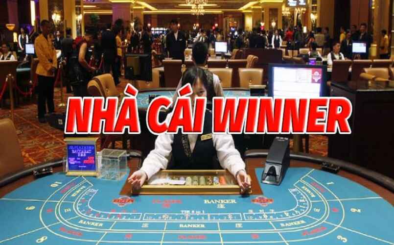 Winner là nhà cái cá cược trực tuyến uy tín